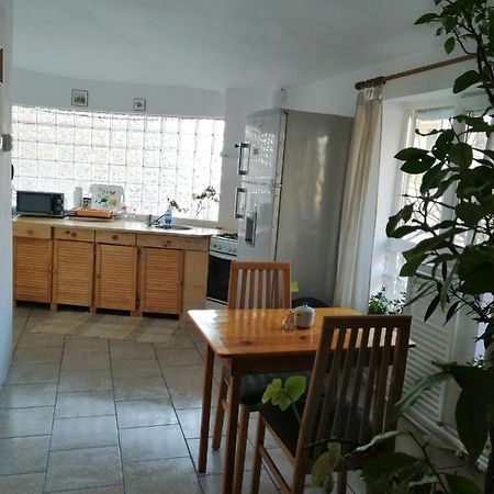 Moss'S Economy Apartment Τιμισοάρα Εξωτερικό φωτογραφία