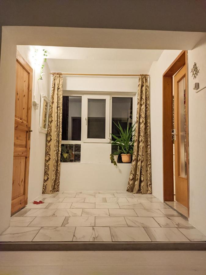 Moss'S Economy Apartment Τιμισοάρα Εξωτερικό φωτογραφία